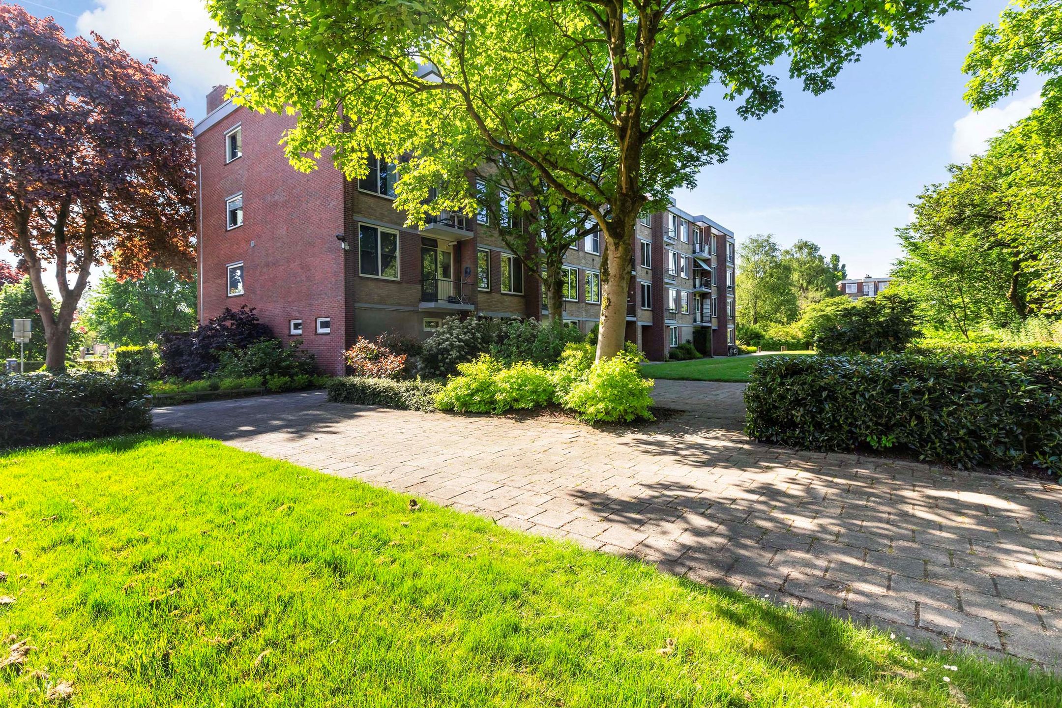 Foto 39 van Albardastraat 136