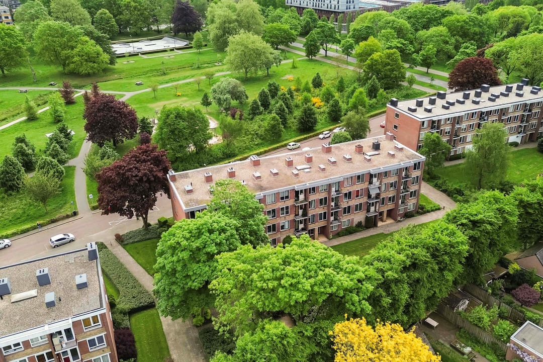 Foto 41 van Albardastraat 136