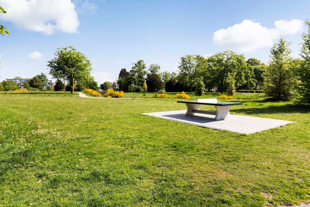 Foto 46 van Albardastraat 136