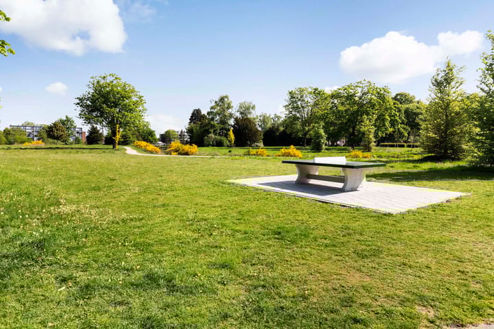 Foto 46 van Albardastraat 136