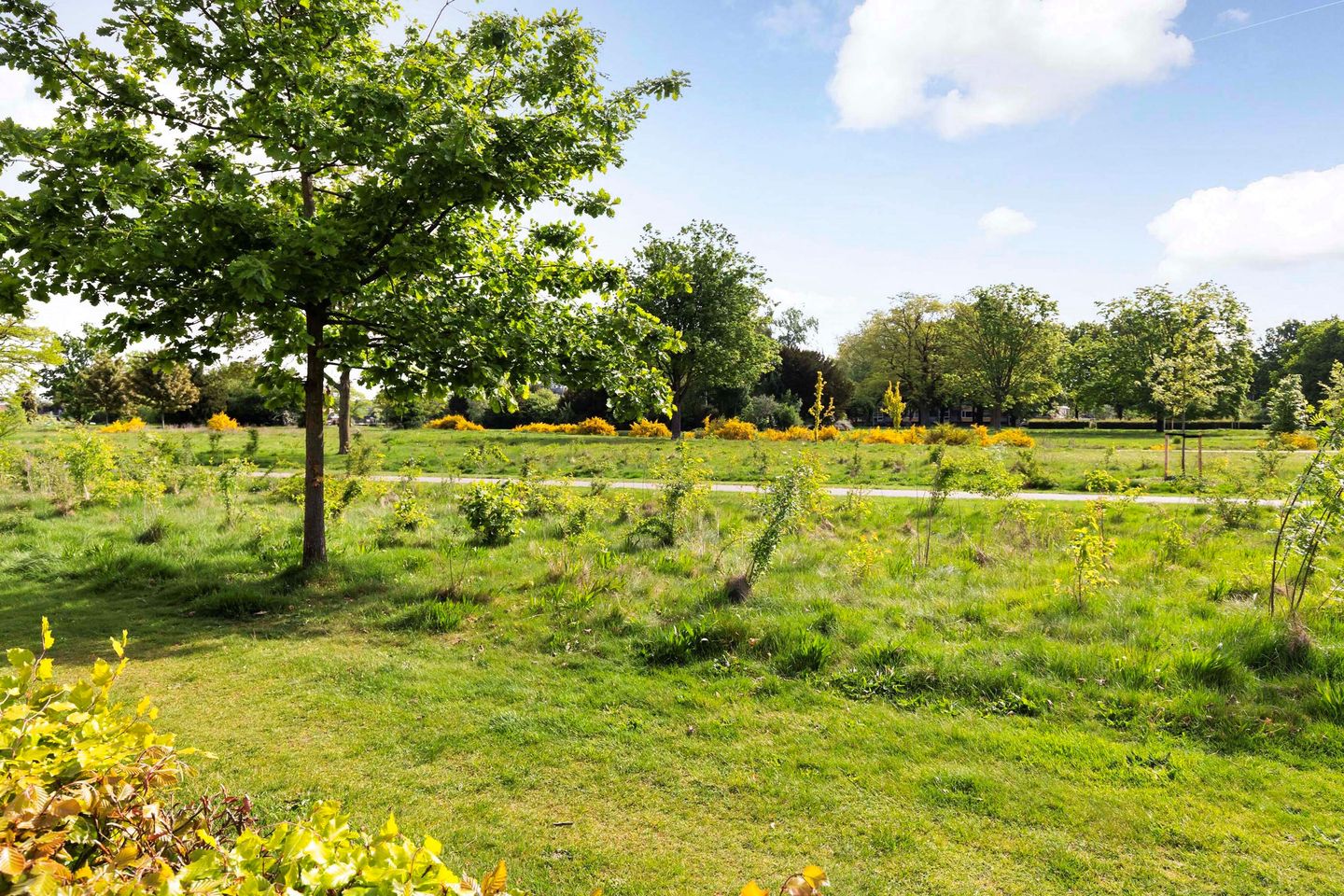 Foto 44 van Albardastraat 136