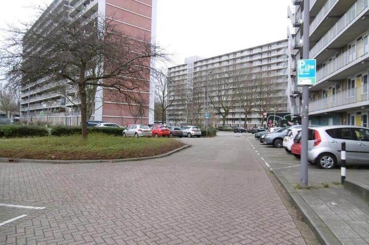 Foto 11 van Grote Kreek 22