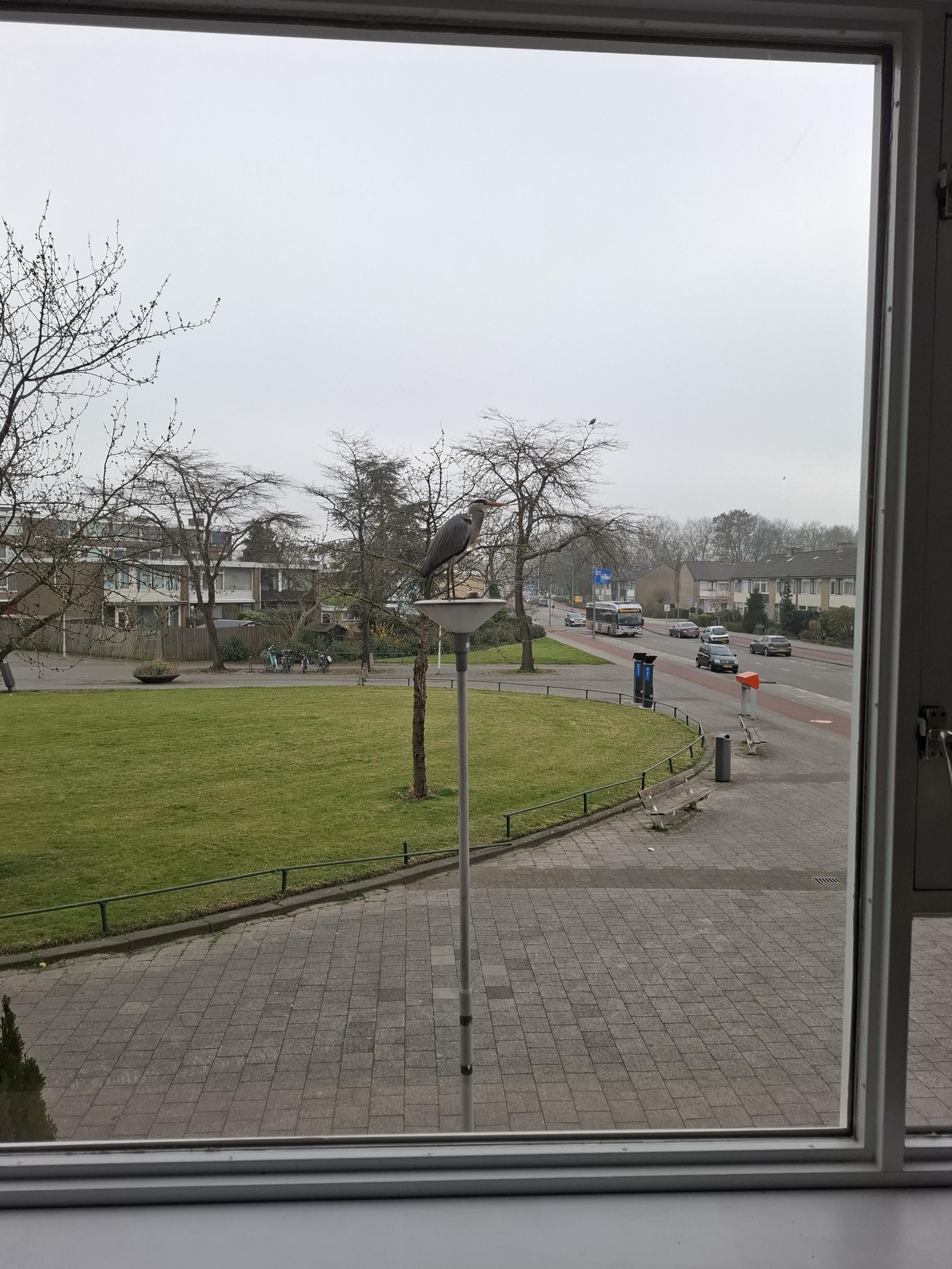 Photo 12 of Grote Kreek 22