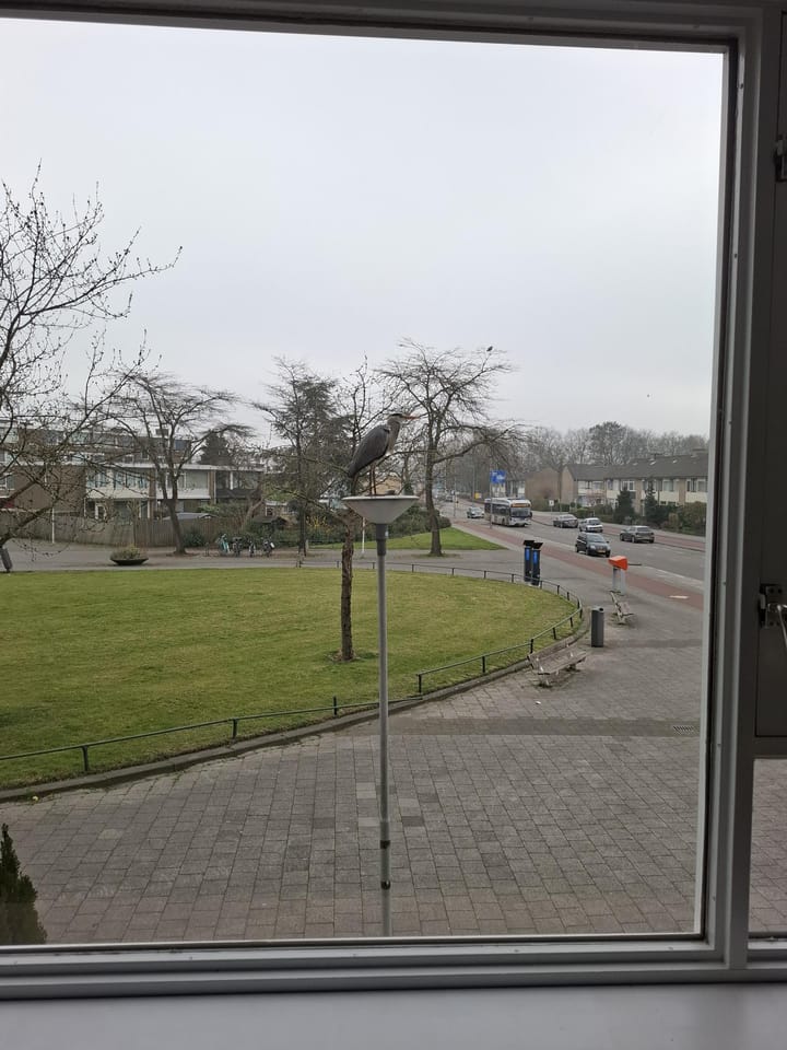 Foto 12 van Grote Kreek 22