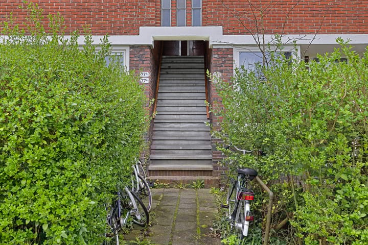 Foto 3 van Star Numanstraat 75-A