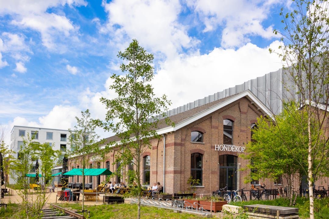 Foto 46 van Seringstraat 4