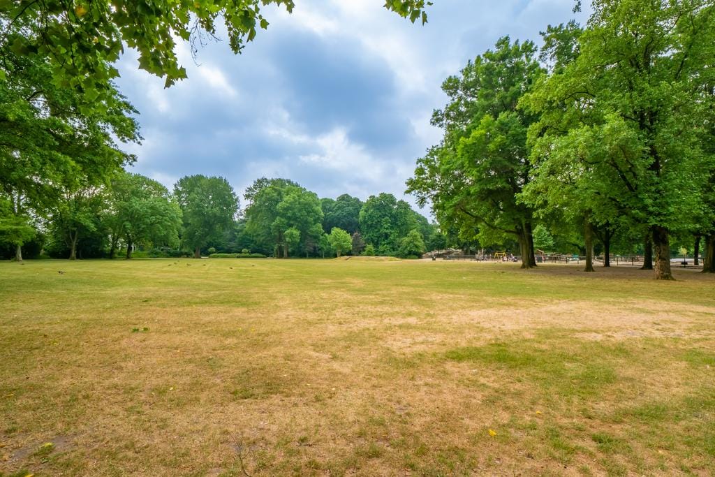 Foto 53 van Seringstraat 4