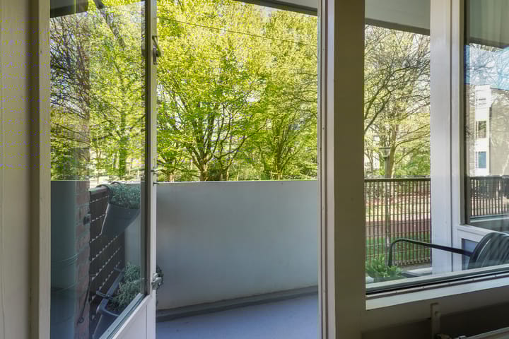 Foto 27 van Professor Cobbenhagenlaan 250