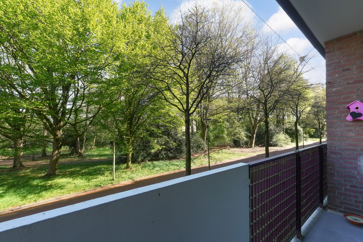 Photo 29 of Professor Cobbenhagenlaan 250