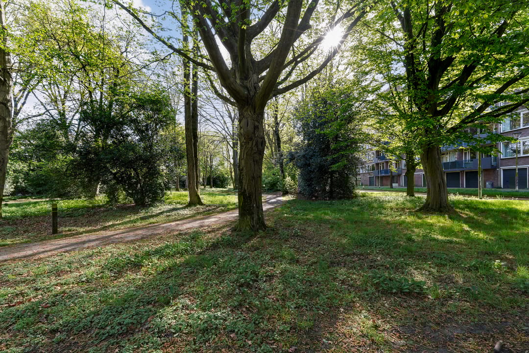 Photo 31 of Professor Cobbenhagenlaan 250