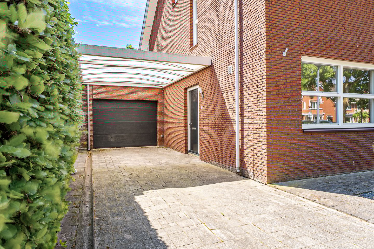 Foto 5 van Hermelijnvlinder 15