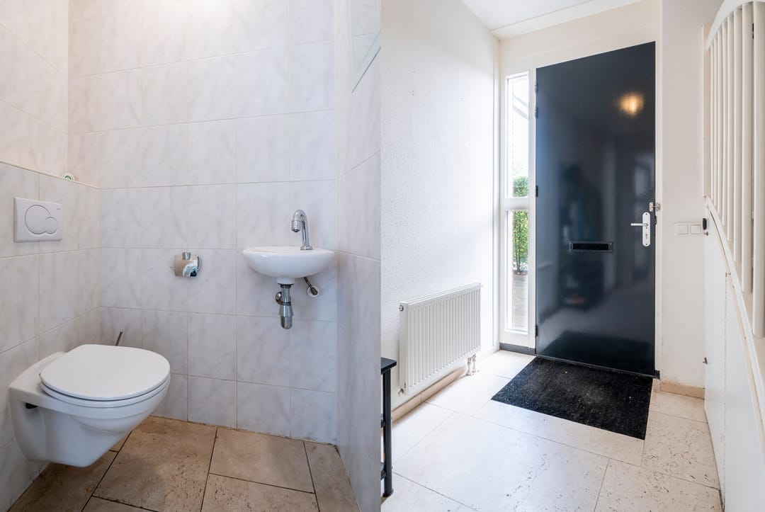 Foto 8 van Hermelijnvlinder 15