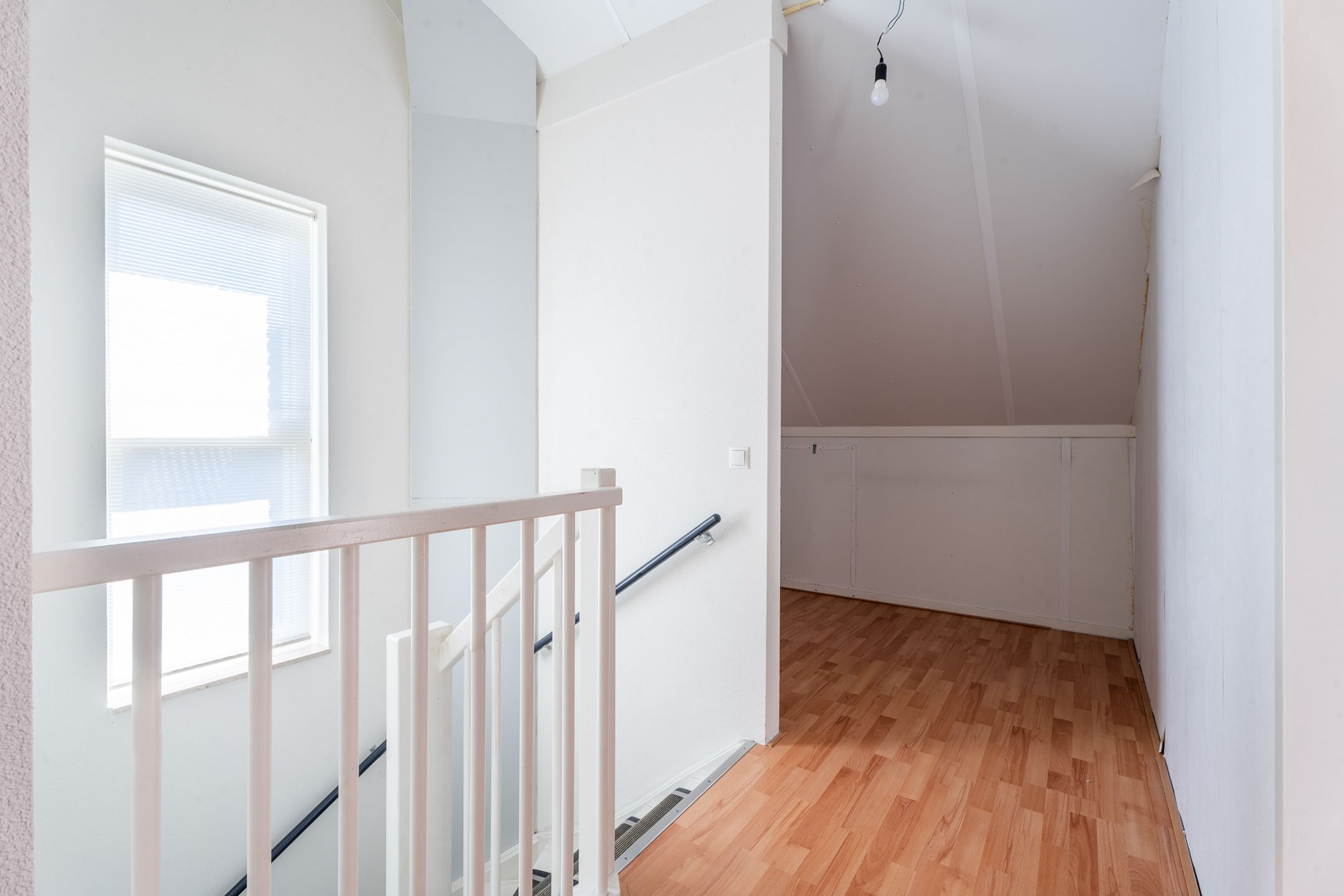 Foto 30 van Hermelijnvlinder 15