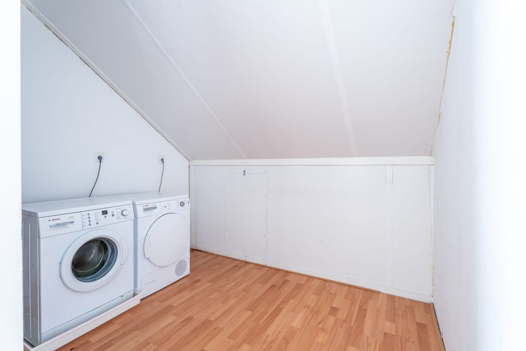 Foto 31 van Hermelijnvlinder 15