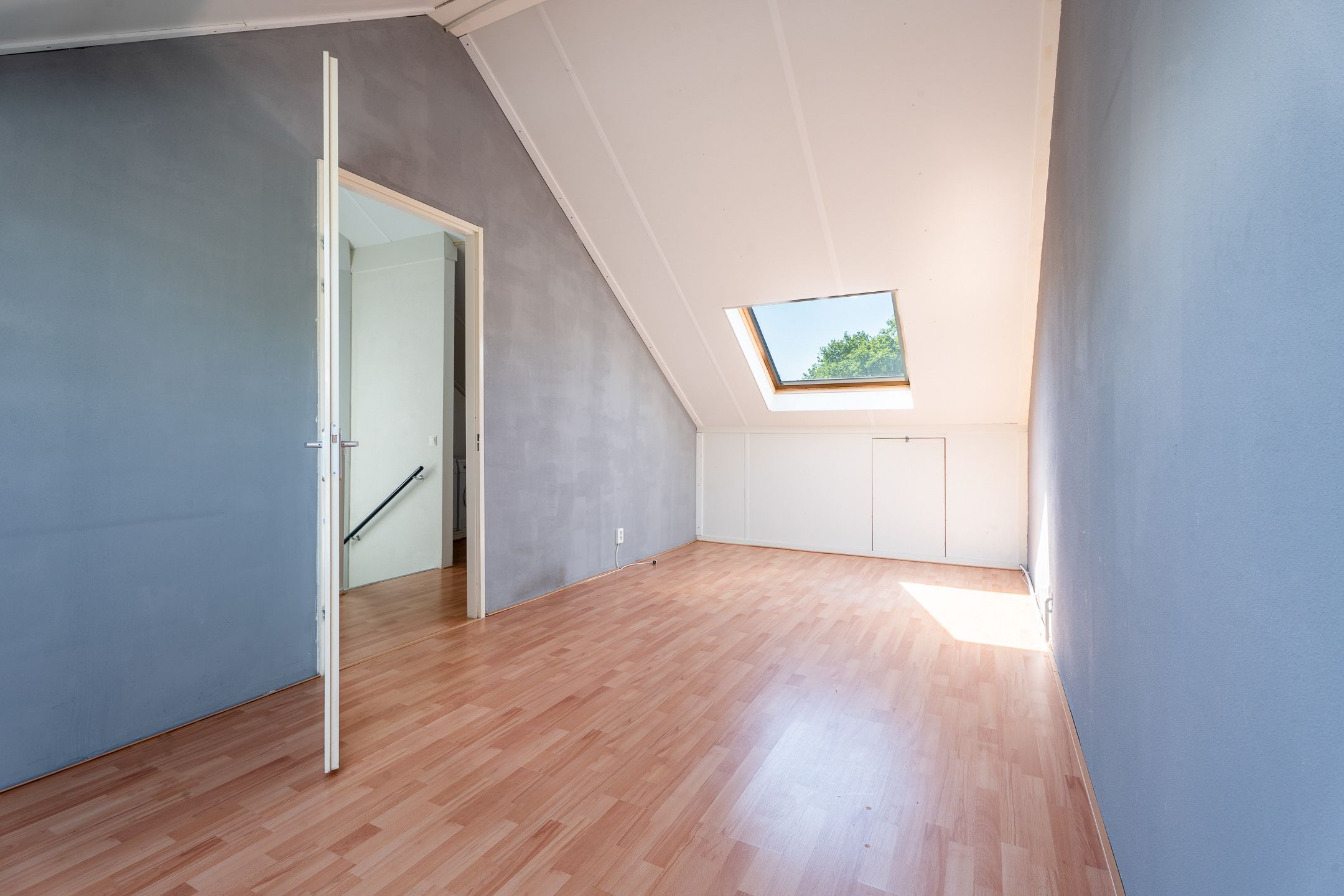 Foto 33 van Hermelijnvlinder 15