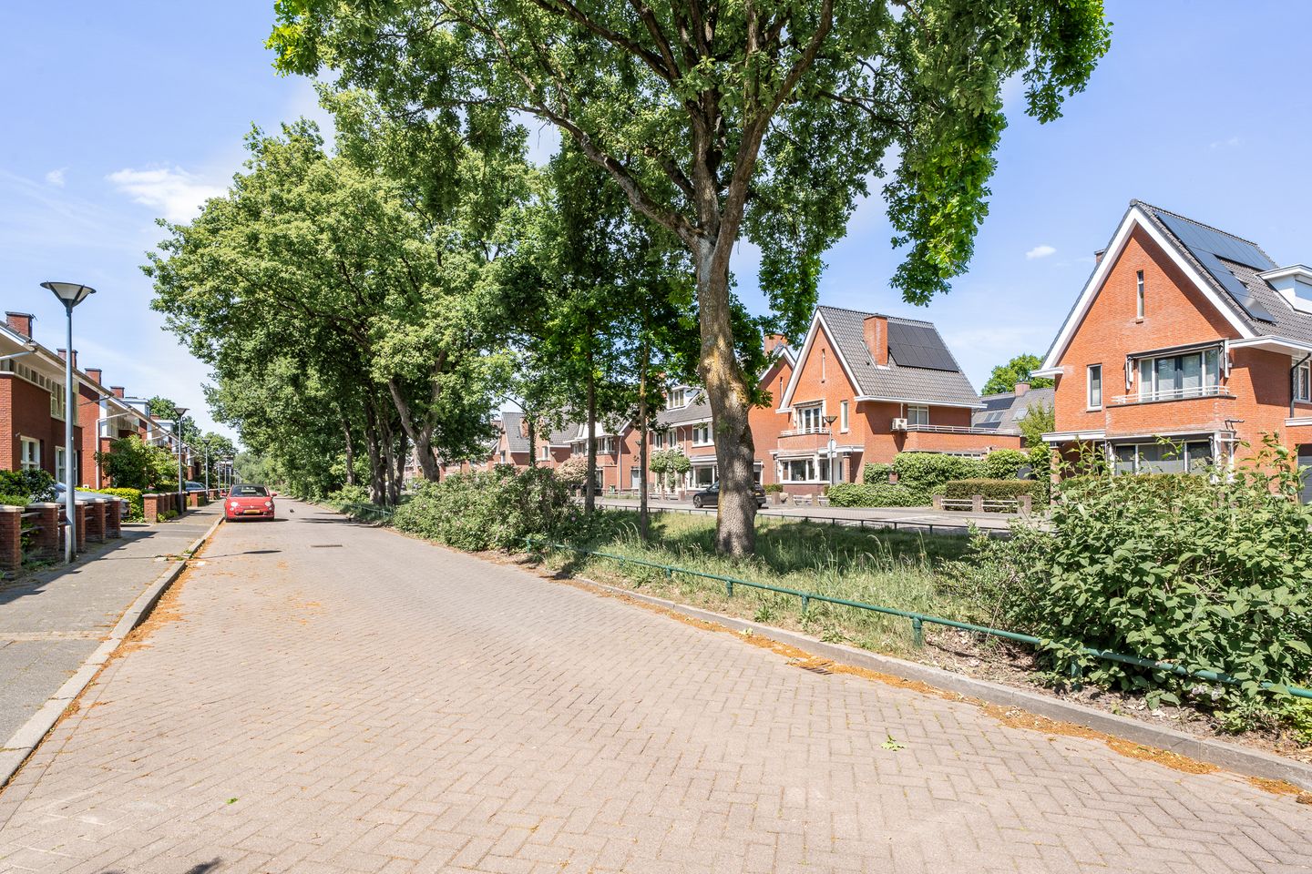 Foto 34 van Hermelijnvlinder 15