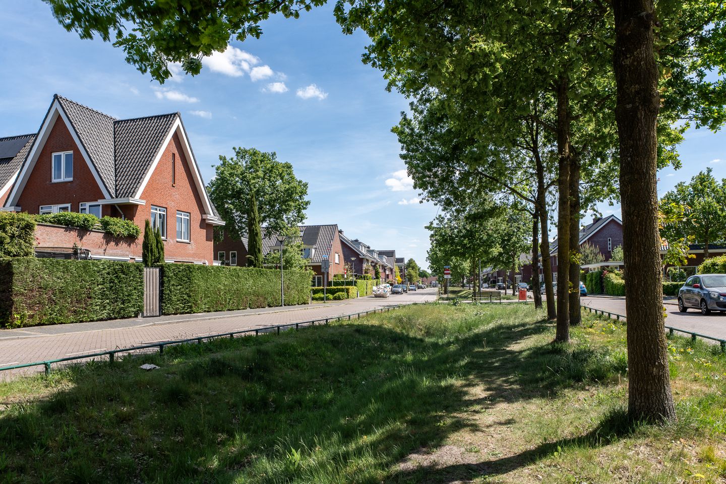 Foto 35 van Hermelijnvlinder 15