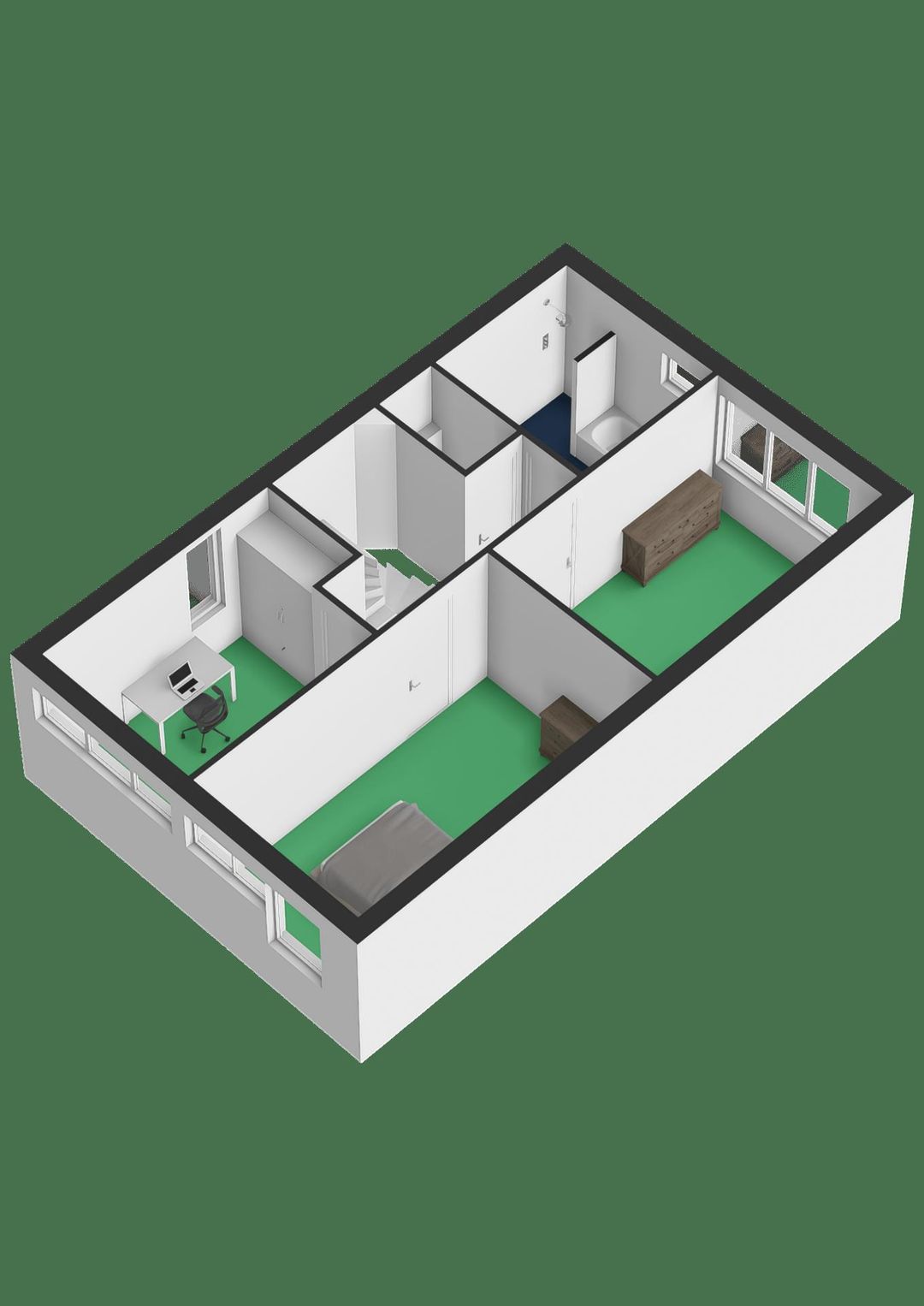 Foto 41 van Hermelijnvlinder 15