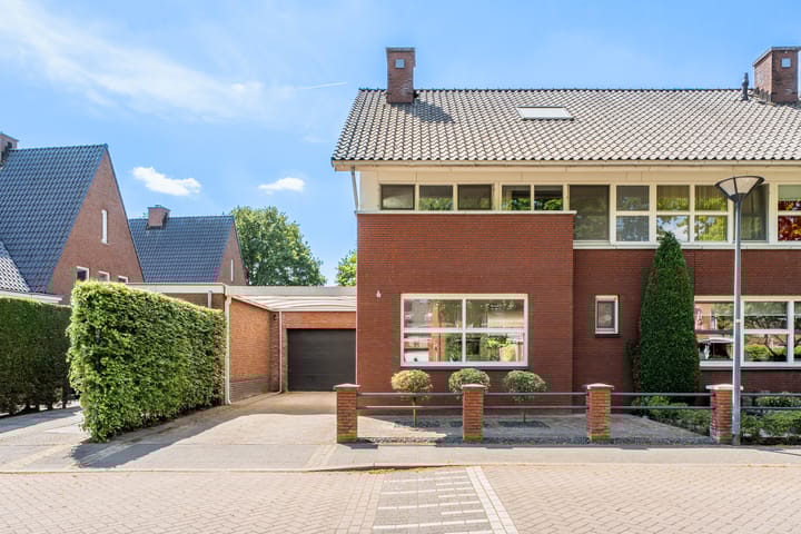 Foto 4 van Hermelijnvlinder 15