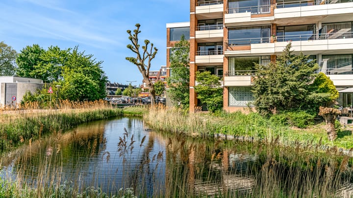 Foto 28 van Papiermolen 162