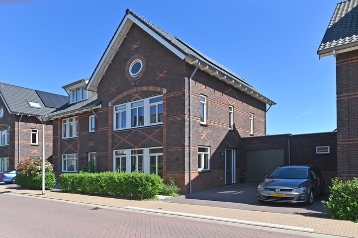 Foto 8 van Wintercyclaam 6