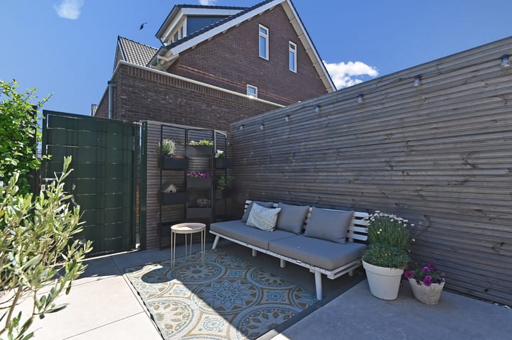 Foto 16 van Wintercyclaam 6