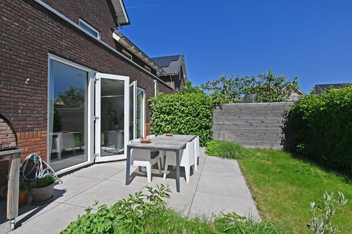 Foto 17 van Wintercyclaam 6