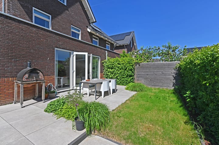 Foto 18 van Wintercyclaam 6