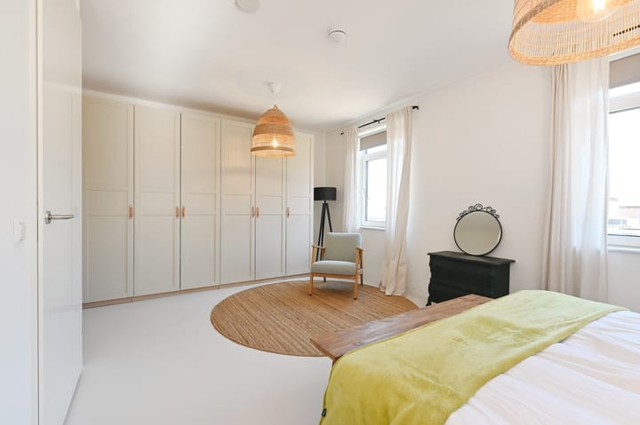 Foto 45 van Wintercyclaam 6