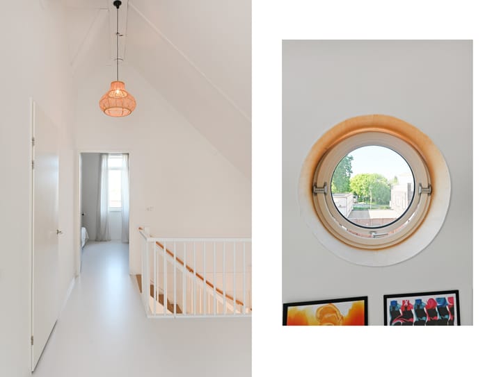 Foto 48 van Wintercyclaam 6