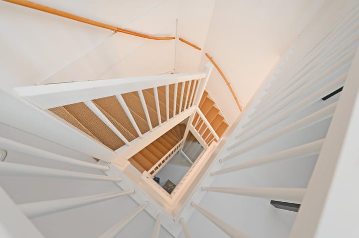 Foto 49 van Wintercyclaam 6