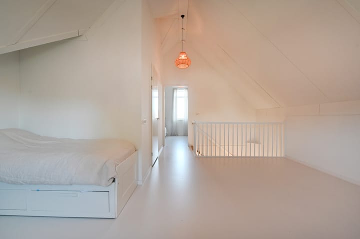 Foto 52 van Wintercyclaam 6