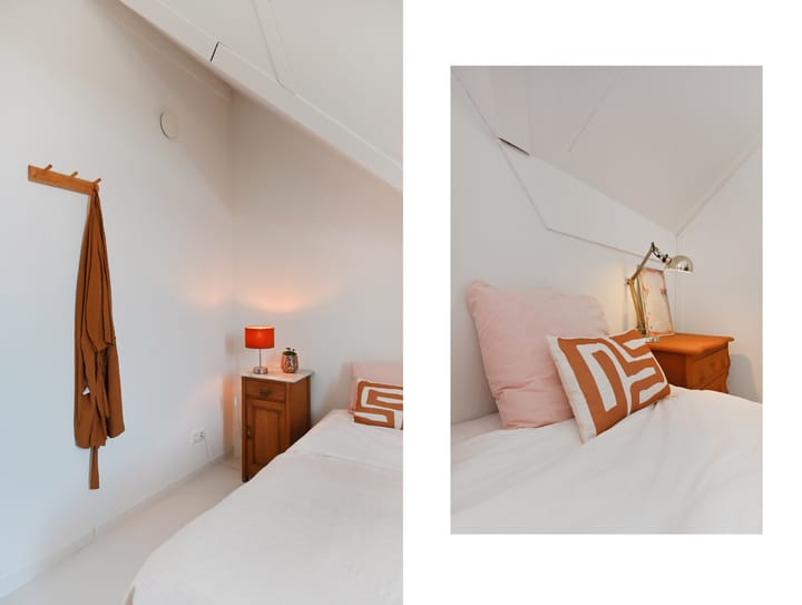 Foto 56 van Wintercyclaam 6