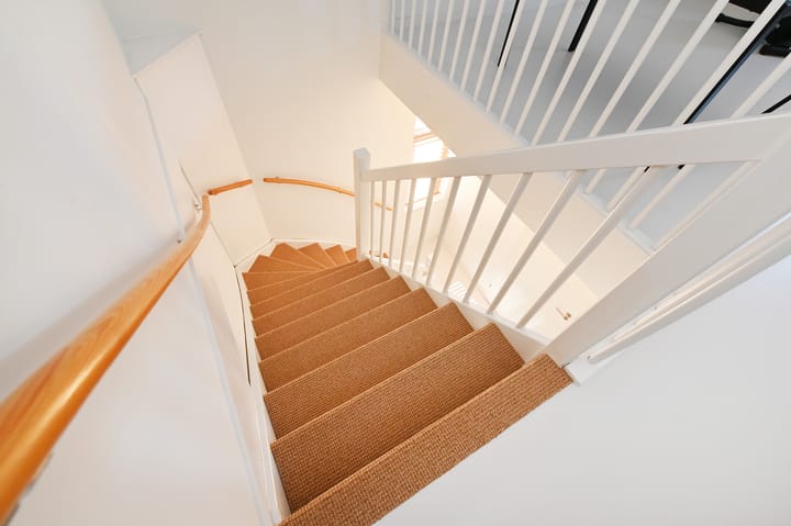 Foto 58 van Wintercyclaam 6