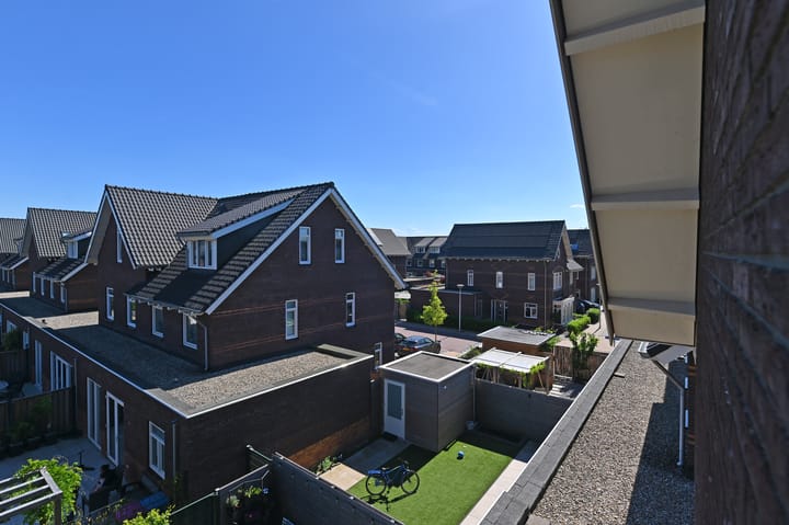 Foto 59 van Wintercyclaam 6