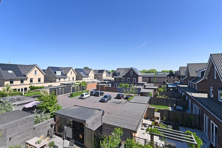 Foto 60 van Wintercyclaam 6