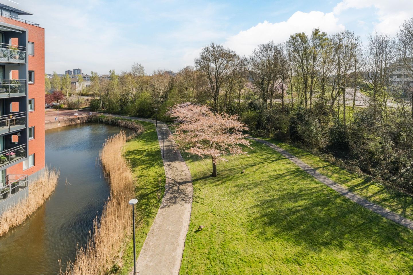 Foto 4 van Nieuwe Laan 91