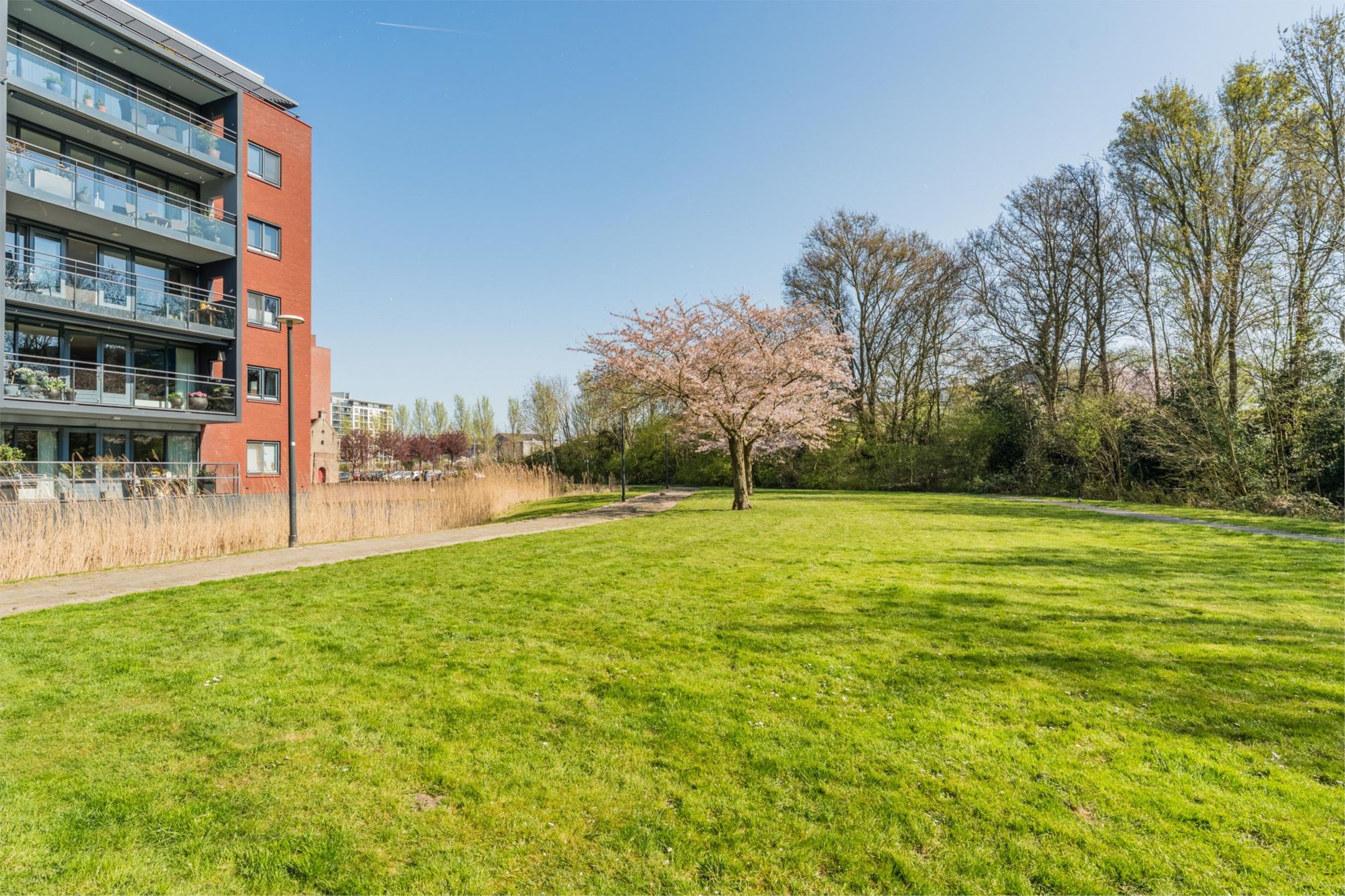 Foto 42 van Nieuwe Laan 91