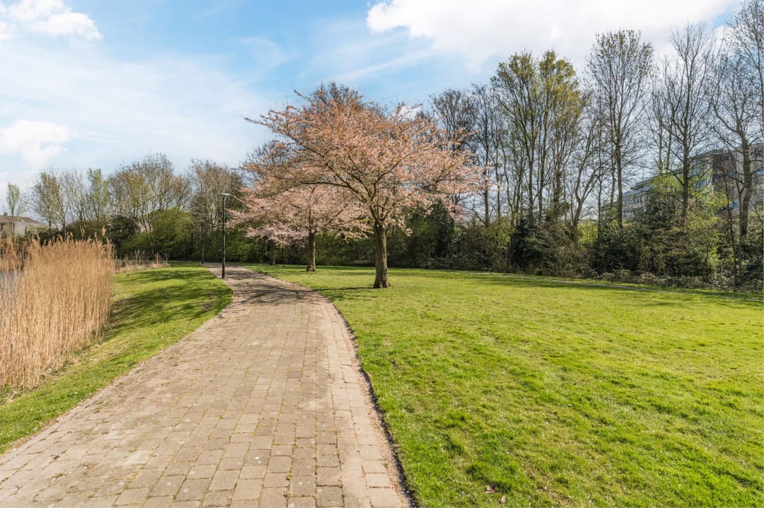 Foto 43 van Nieuwe Laan 91