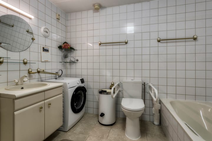 Foto 9 van Zwaluw 133