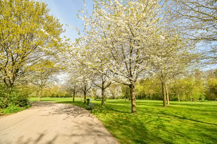 Foto 45 van Amstellandlaan 24