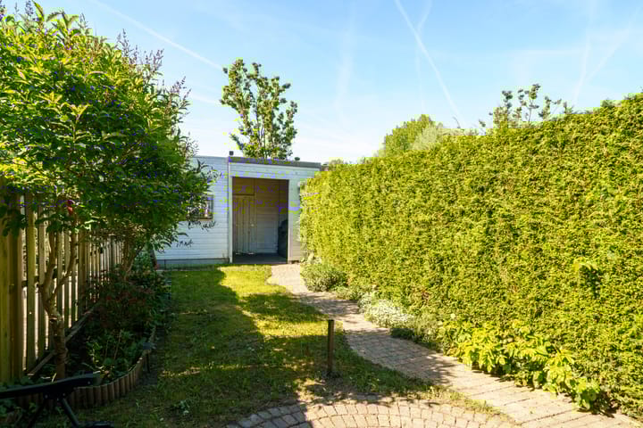 Foto 29 van Dwergkonijnstraat 25