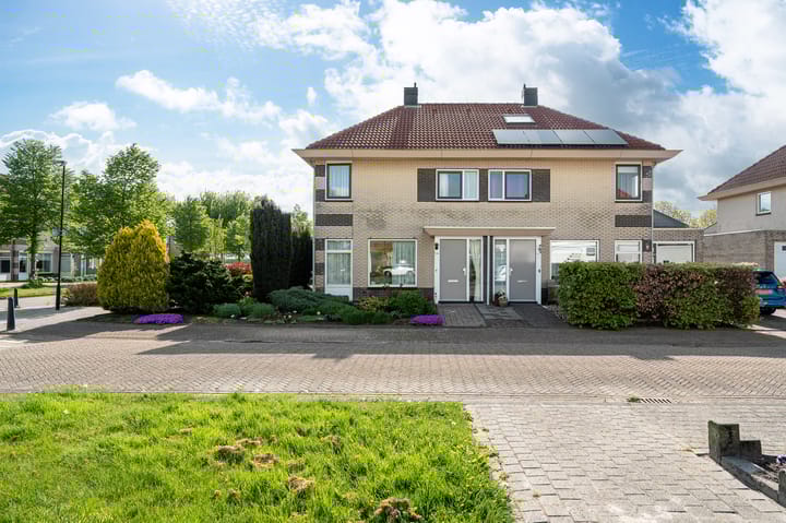 Foto 4 van De Swan 19