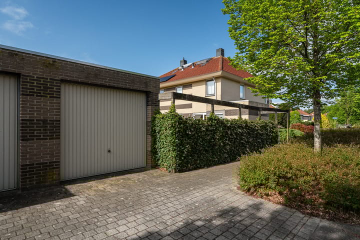 Foto 19 van De Swan 19