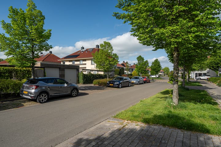 Foto 20 van De Swan 19