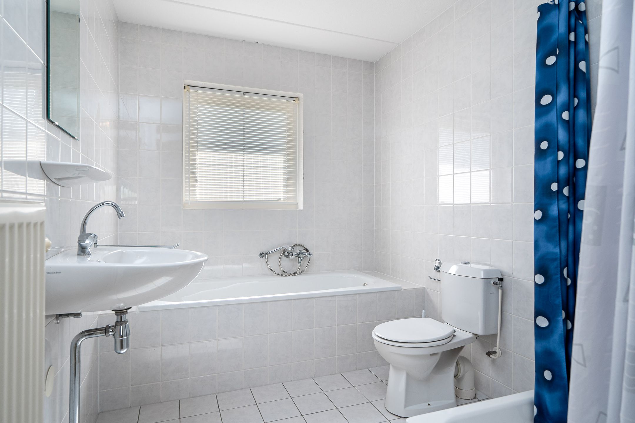 Foto 30 van De Swan 19