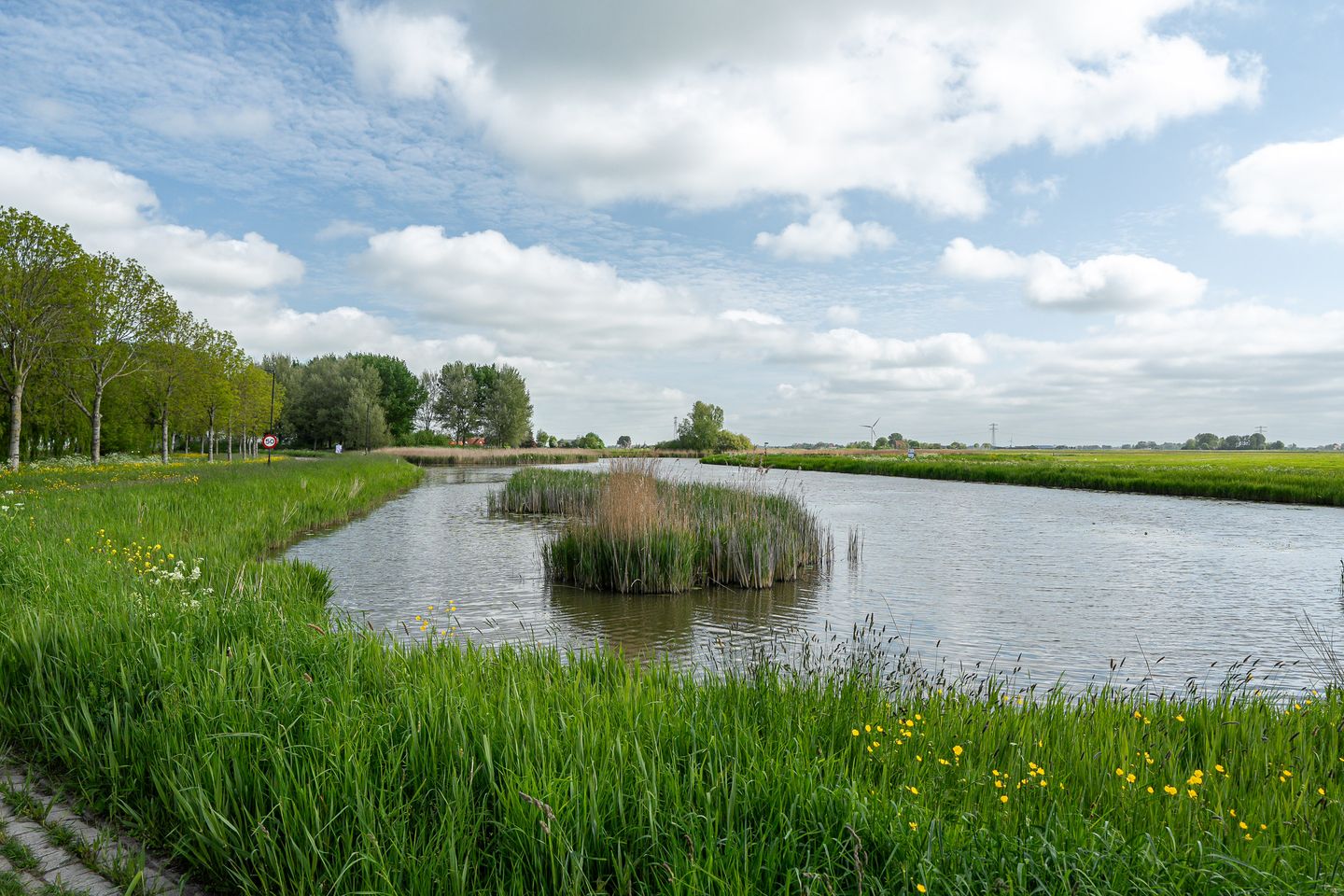 Foto 35 van De Swan 19