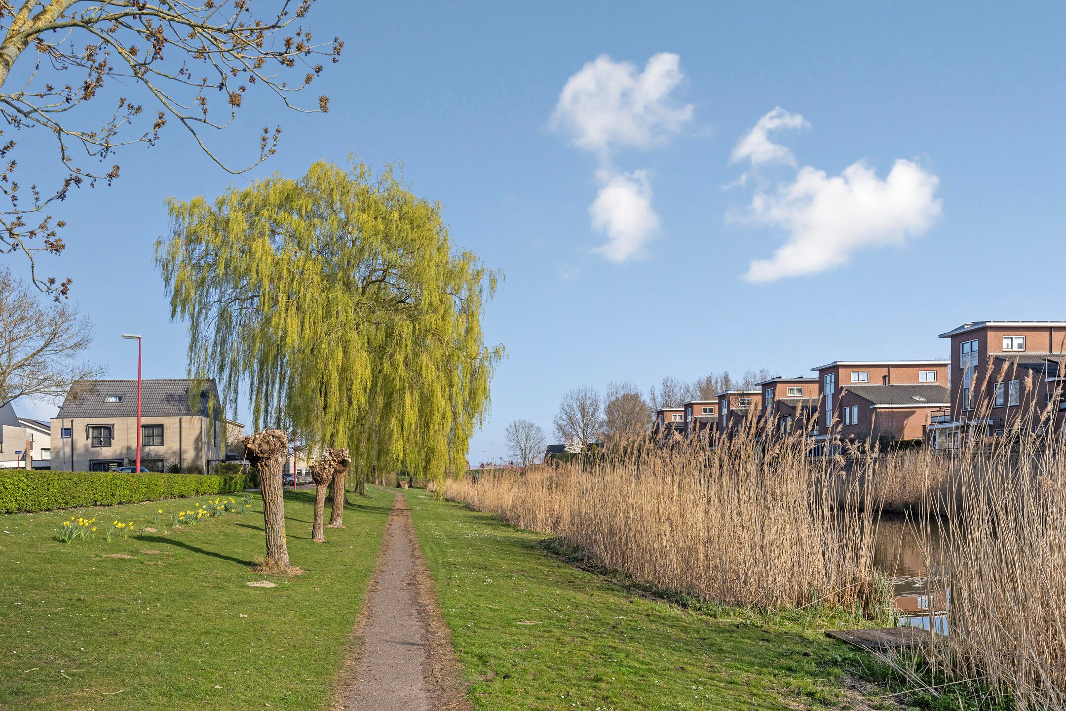 Foto 48 van Poortlaan 63