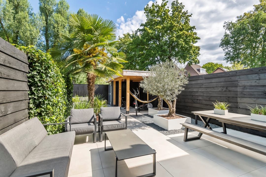 Foto 1 van Muurzwaluw 38