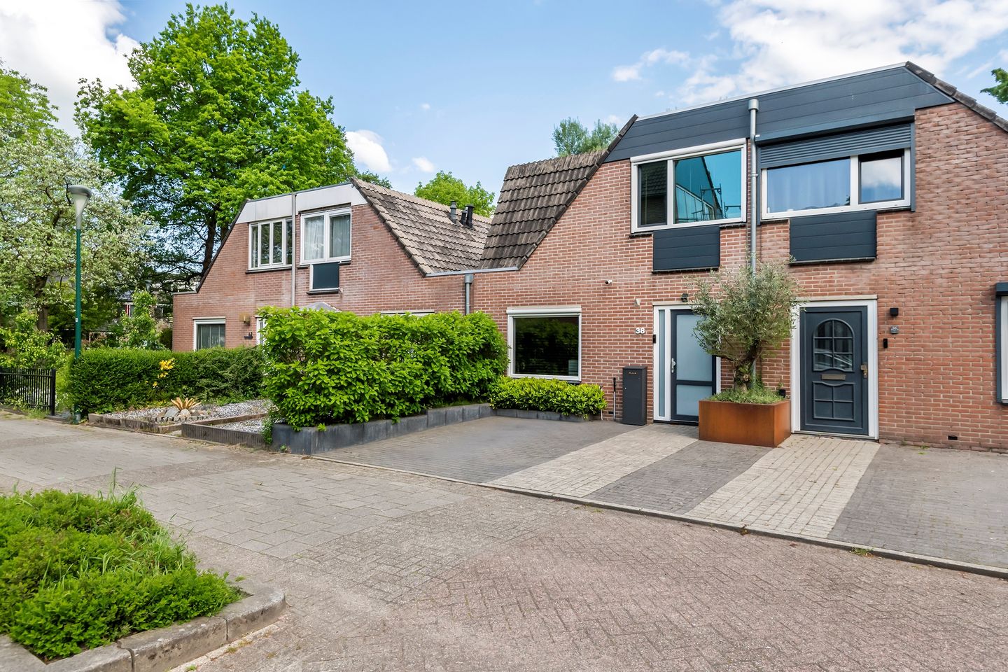 Foto 4 van Muurzwaluw 38